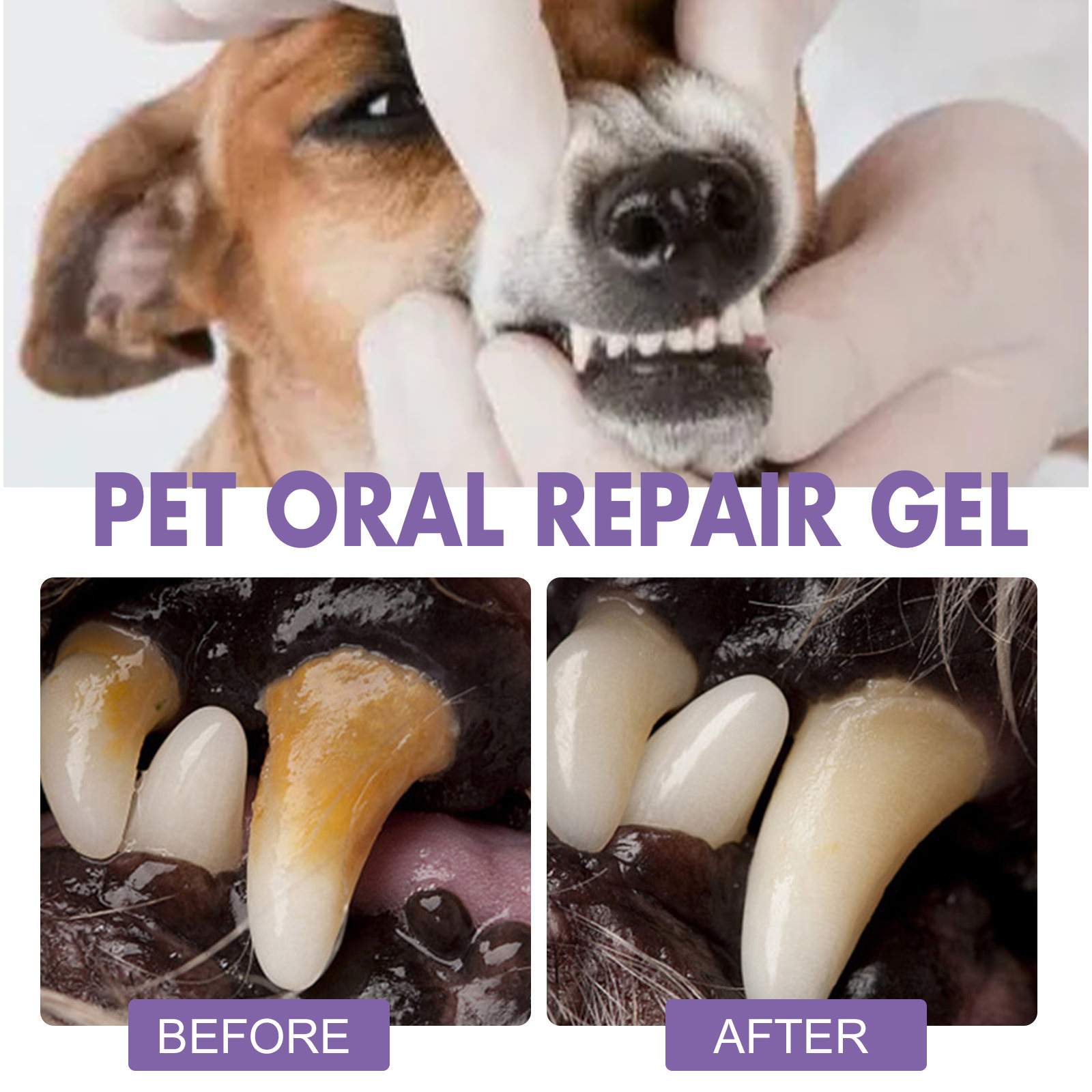 Pet Oral Repair Gel Puppy Tart – Teeth Whitening With Peroxide recenzja i cena